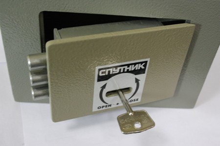 Спутник Р-01н