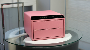 Изображение товара 'Сейф-шкатулка Klesto Smart JS2 (розовый)' в магазине СПБсейфы